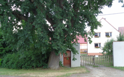 Oak and its Guesthouse (entrance)